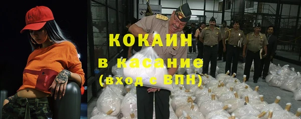 индика Новокубанск