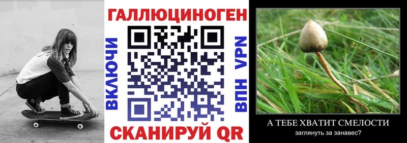 наркота Казань Псилоцибиновые грибы прущие грибы