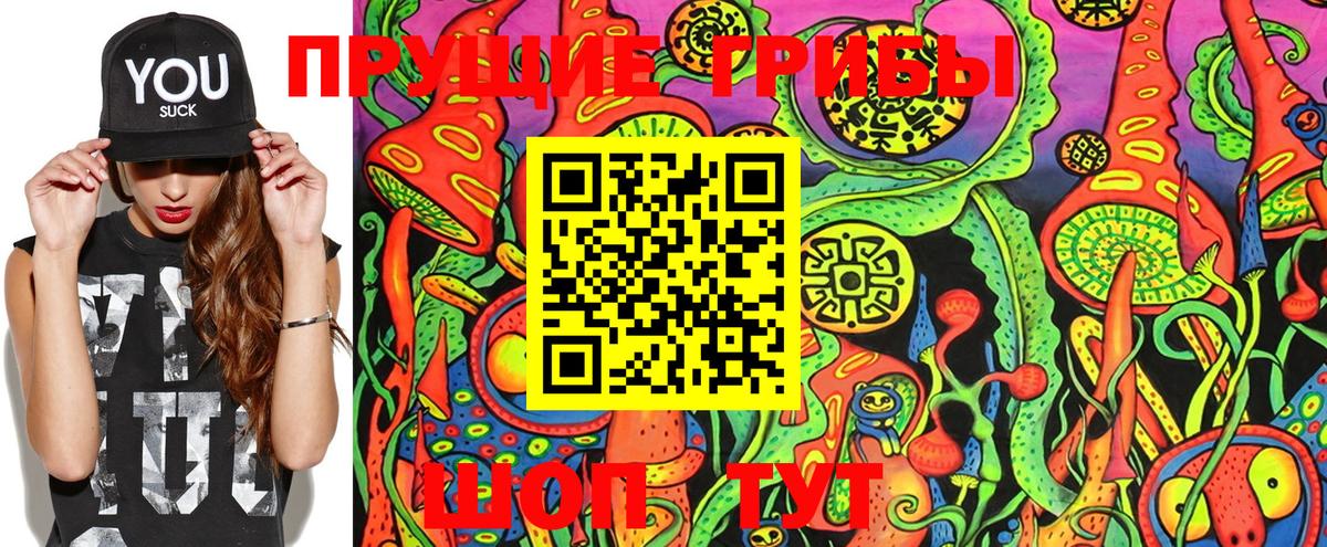 Псилоцибиновые грибы мицелий Казань