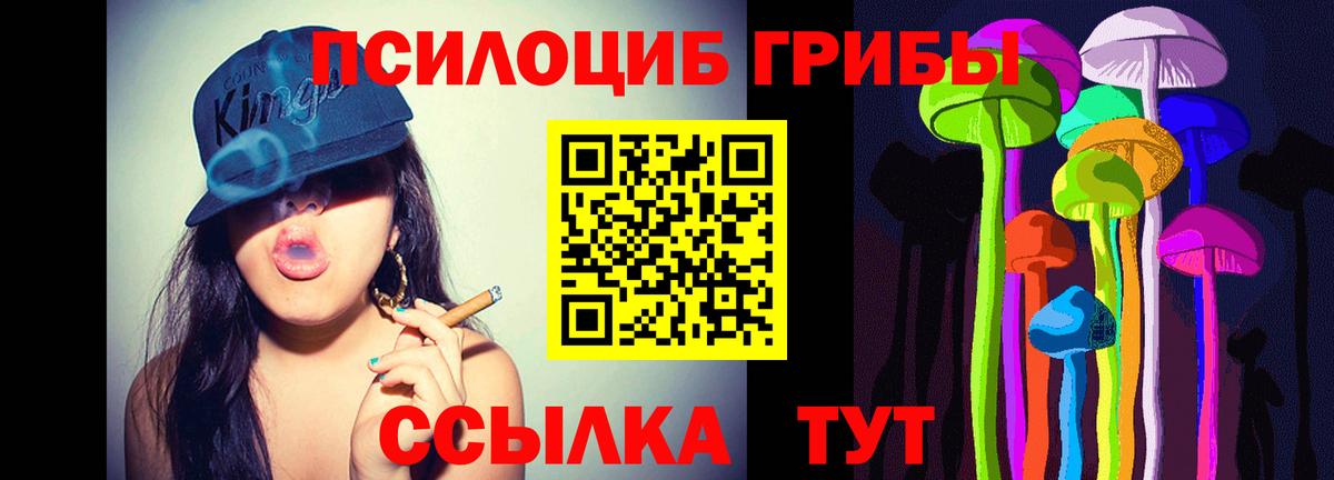 Псилоцибиновые грибы ЛСД  Казань  даркнет сайт  Галлюциногенные грибы GOLDEN TEACHER 