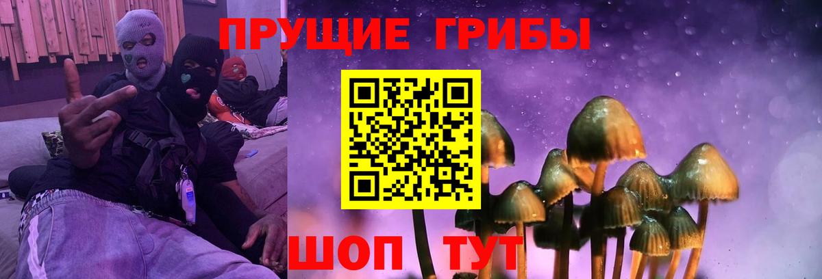 Галлюциногенные грибы ЛСД Казань